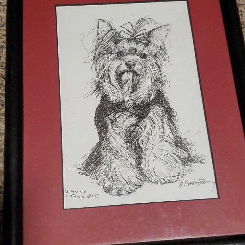 Vintage 1985 Yorkshire Terrier /  Yorkie Sketch G. Marlo Allen Print